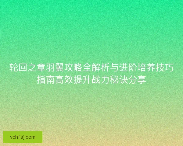 轮回之章羽翼攻略全解析与进阶培养技巧指南高效提升战力秘诀分享